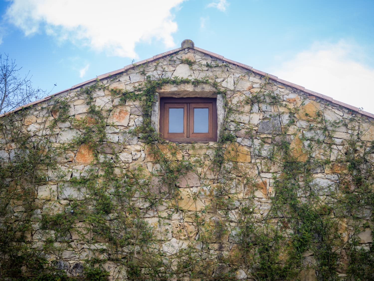 Modern House Lekas 2020